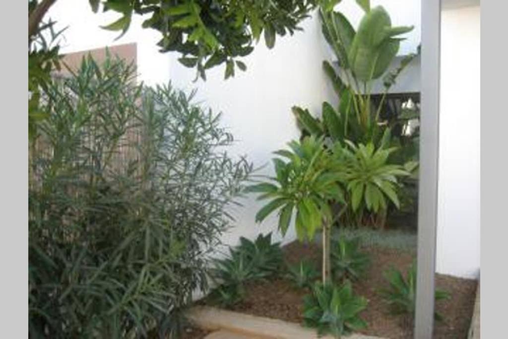 Casa Esparto Rodalquilar Exterior foto